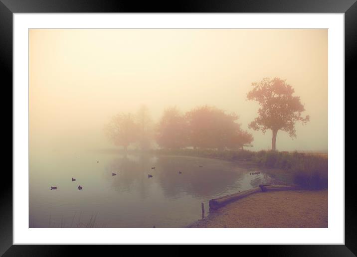 Foggy day! Framed Mounted Print by Inguna Plume
