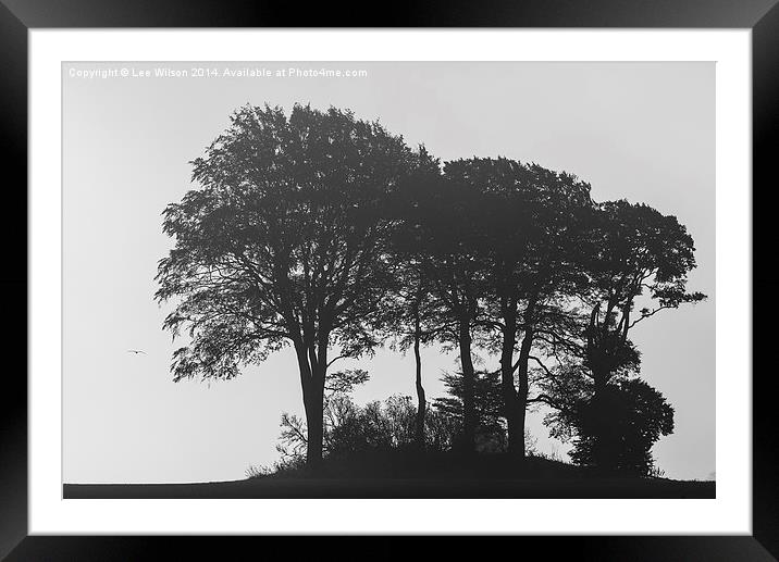 Trees in the Mist Framed Mounted Print by Lee Wilson