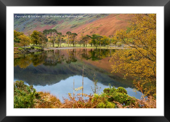 Autumn Colours In Buttermere, Lake District Framed Mounted Print by The Tog