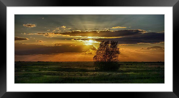  Thornham Fields Sunset Framed Mounted Print by Alan Simpson