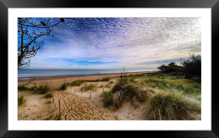  Holme Dunes Nature Reserve Framed Mounted Print by Alan Simpson
