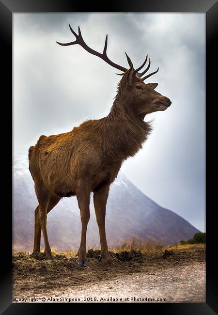 Glen Etive Stag Framed Print by Alan Simpson