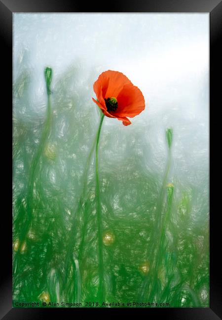 Lone Poppy Framed Print by Alan Simpson
