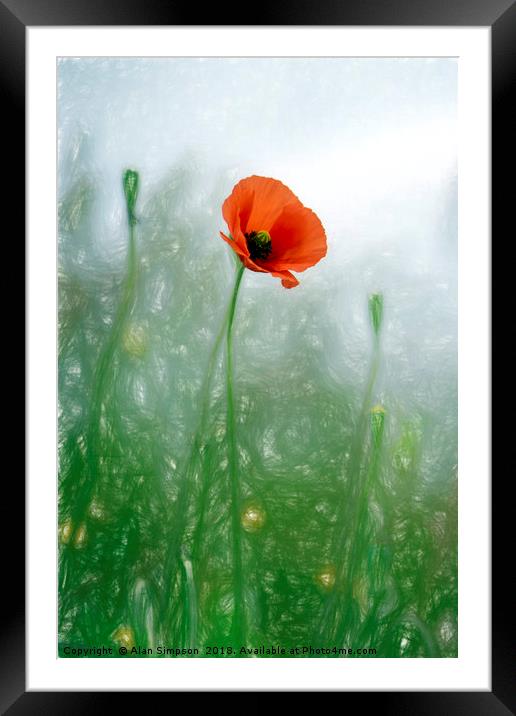Lone Poppy Framed Mounted Print by Alan Simpson