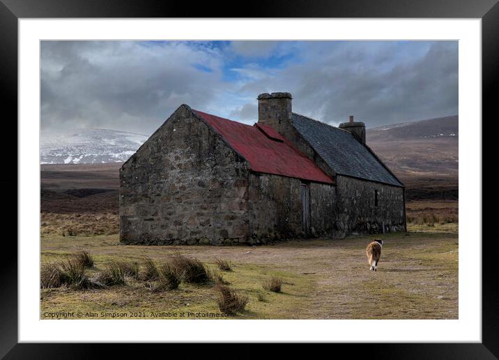Old croft and Border Collie Framed Mounted Print by Alan Simpson