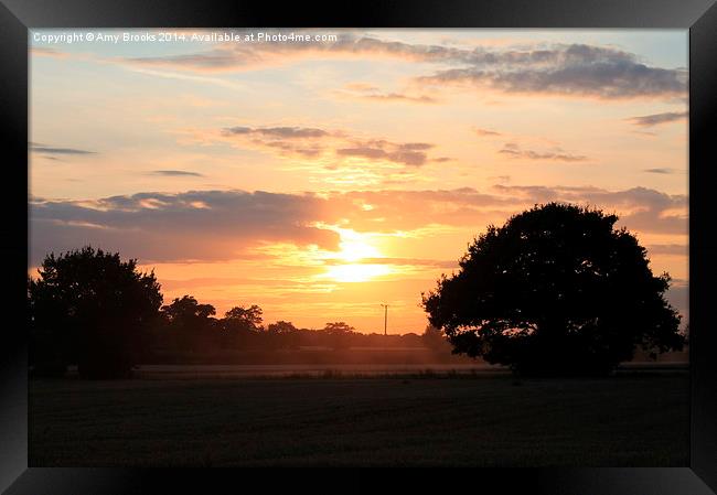 Sunset at Stebbing Framed Print by Amy Brooks