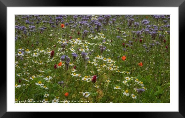 Summer Flowers Framed Mounted Print by Lynda Simpson