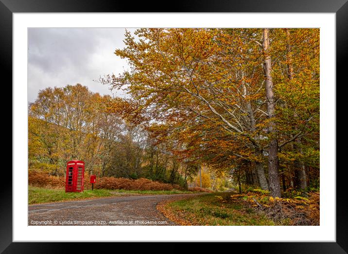 An Autumnal Road Framed Mounted Print by Lynda Simpson