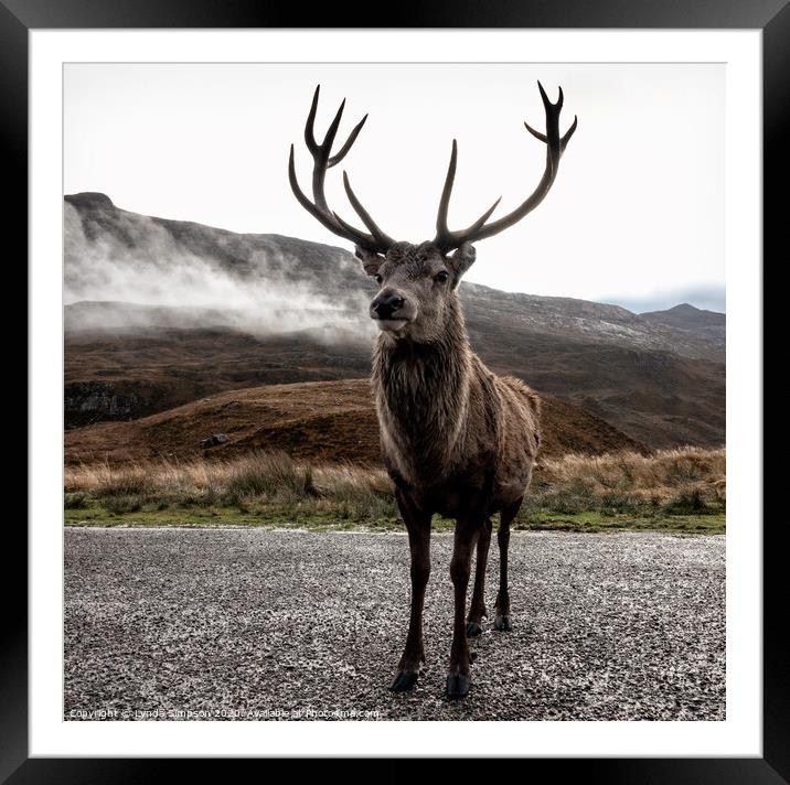 The Stag Framed Mounted Print by Lynda Simpson