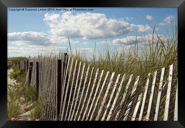  Cape Cod Dunes Framed Print by Suzanne Larson