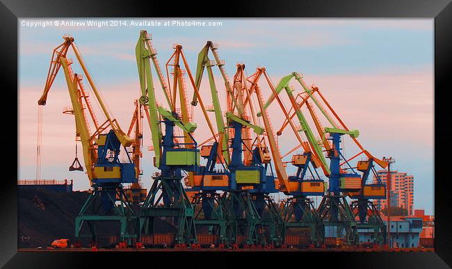 Dayglow Cranes Framed Print by Andrew Wright
