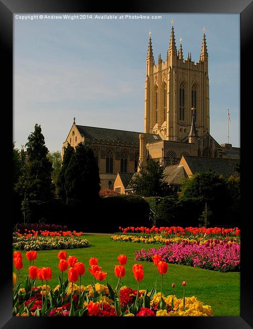  The Abbey Gardens, Bury St Edmunds Framed Print by Andrew Wright