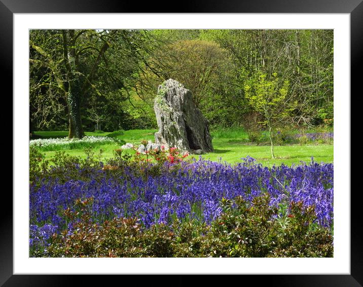 Blarney Castle Gardens Framed Mounted Print by Andrew Wright