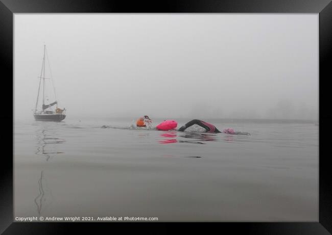 Misty Morning February Swim Framed Print by Andrew Wright