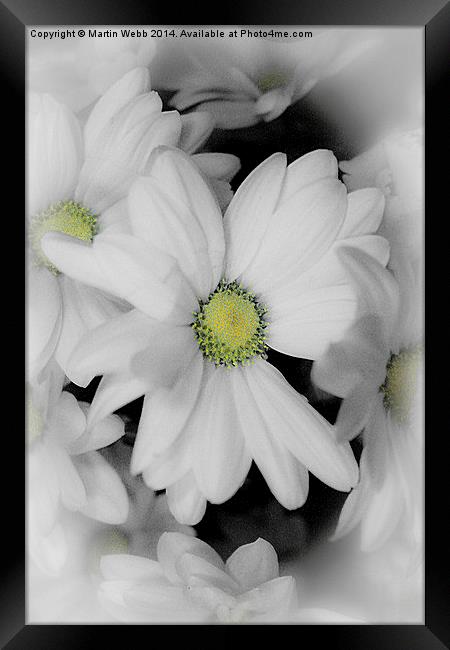 flower for you  Framed Print by Martin Webb