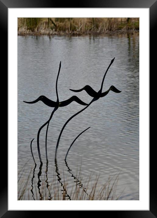 Swan Sculpture Framed Mounted Print by Simon Hackett