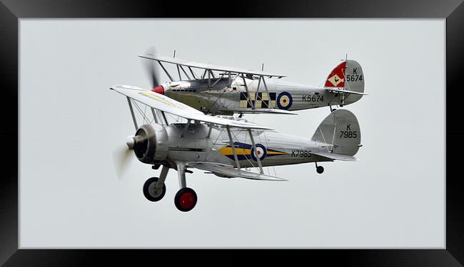  Sea fury and gloster gladiator  Framed Print by Andy Stringer