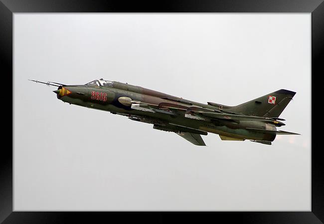  Su-22's of the Polish airforce Framed Print by chris albutt