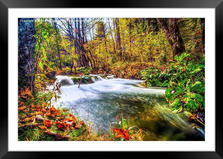  Autumn River flow Framed Mounted Print by William Duggan