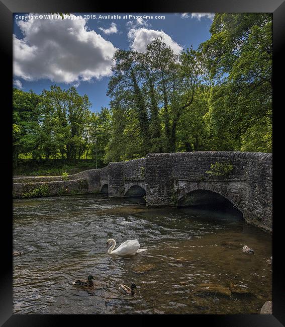  Sheep wash Bridge   ,Ashford In The Water Framed Print by William Duggan