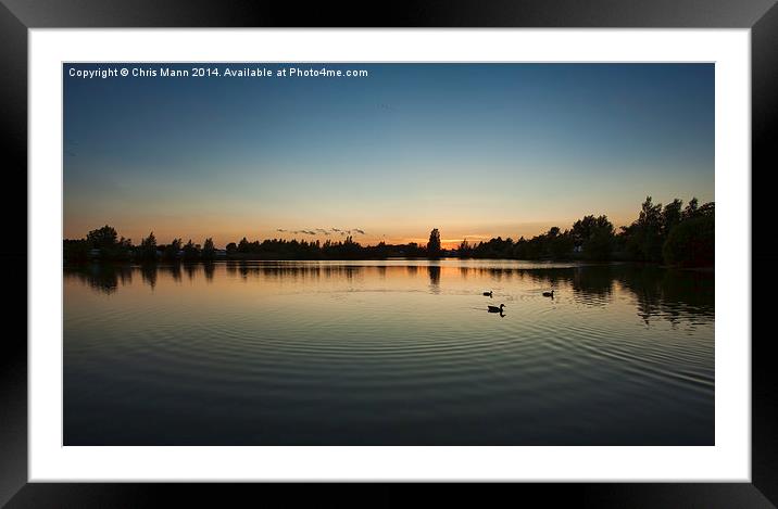  Duck Sunset Framed Mounted Print by Chris Mann