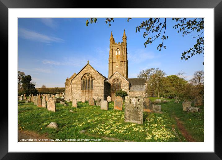 Primroses in Widecombe-in-the-Moor Churchyard Framed Mounted Print by Andrew Ray