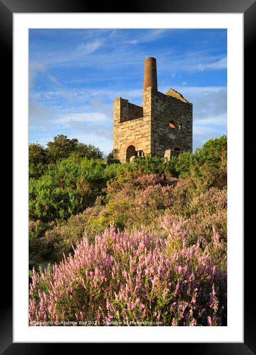 Wheal Peevor Heather  Framed Mounted Print by Andrew Ray