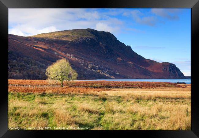 Morning at Ennerdale Framed Print by Andrew Ray