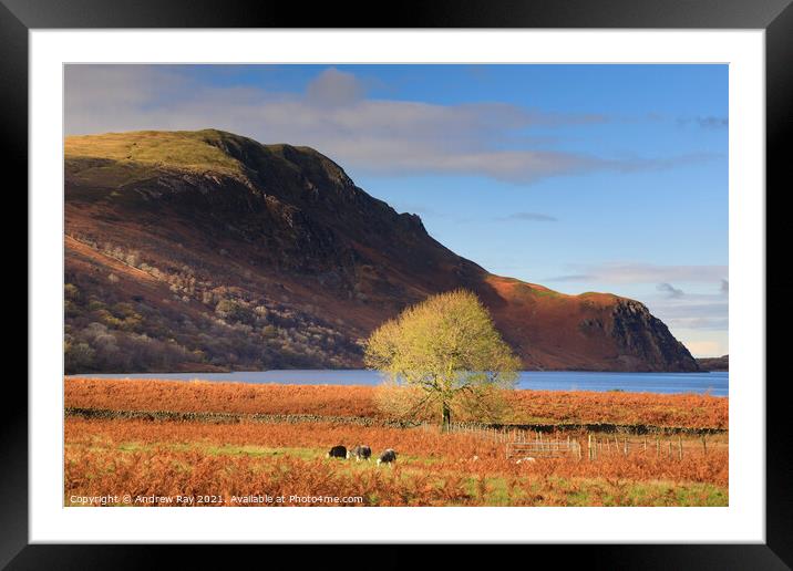 Autumn at Ennerdale Water Framed Mounted Print by Andrew Ray
