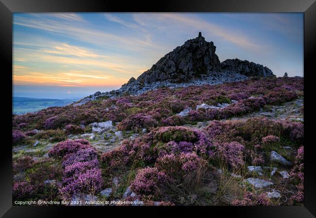 Towards the setting sun (Stiperstones)  Framed Print by Andrew Ray