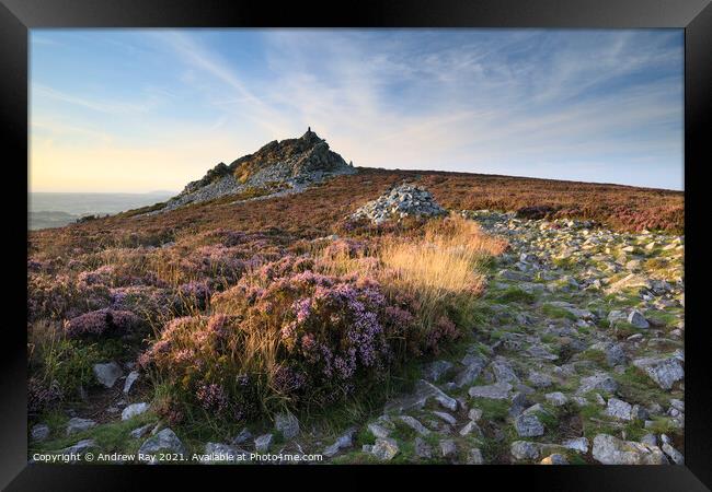 Summer evening at the Stiperstones  Framed Print by Andrew Ray