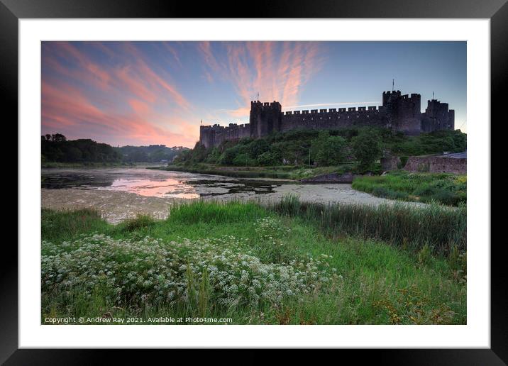 Summer morning at Pembroke Castle  Framed Mounted Print by Andrew Ray