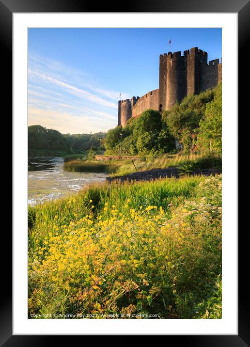 Summer at Pembroke Castle  Framed Mounted Print by Andrew Ray