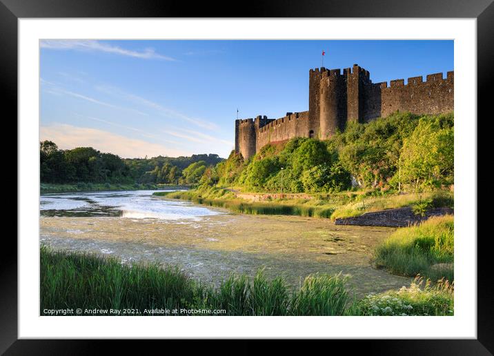 Evening light at Pembroke Castle Framed Mounted Print by Andrew Ray