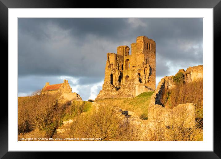 Evening light on Scarborough Castle Framed Mounted Print by Andrew Ray