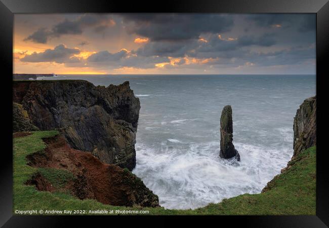 Sea stack at sunrise (Castlemartin)  Framed Print by Andrew Ray
