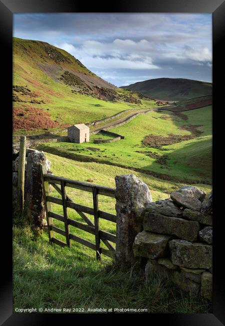 Gate view (path to High Cup Nick)  Framed Print by Andrew Ray