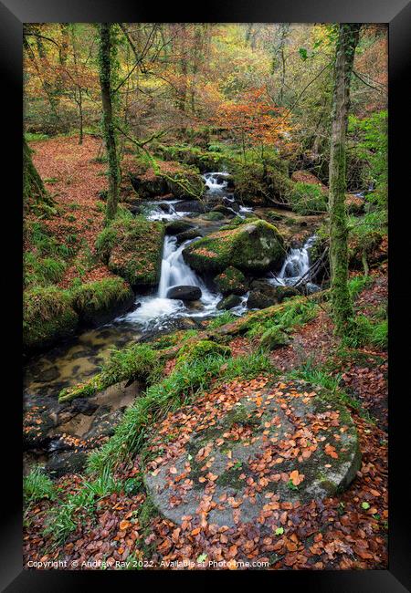 Autumn at Kennall Vale Millstone Framed Print by Andrew Ray