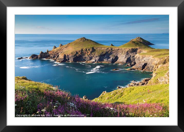 Spring at The Rumps Framed Mounted Print by Andrew Ray