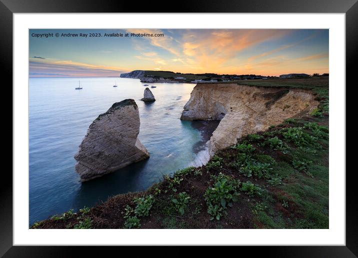 Freshwater Bay at sunset Framed Mounted Print by Andrew Ray