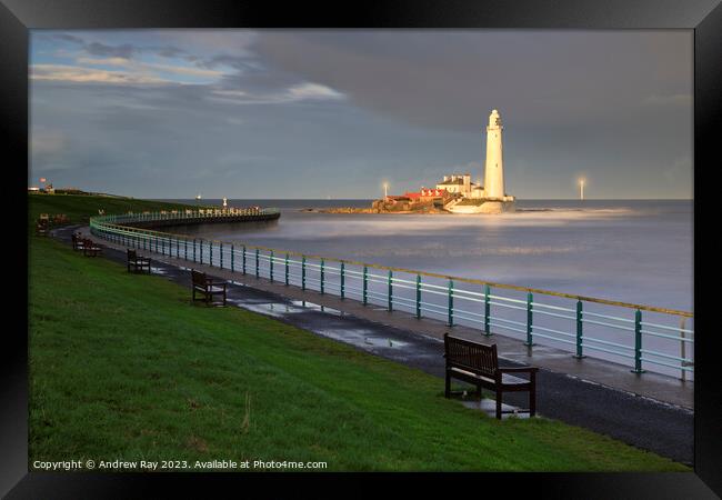 St Mary's Lighthouse view. Framed Print by Andrew Ray