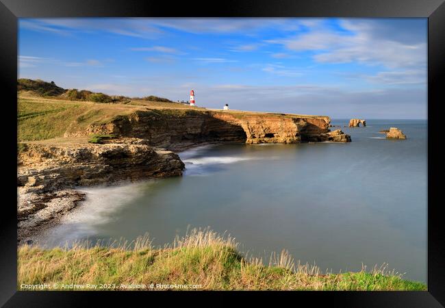 Towards Souter Lighthouse Framed Print by Andrew Ray