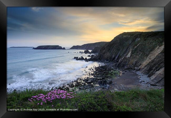 Spring sunset (Marloes Sands) Framed Print by Andrew Ray