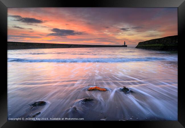 Seaham sunrise Framed Print by Andrew Ray
