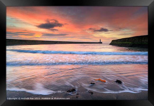 Sunrise at Seaham Harbour Framed Print by Andrew Ray