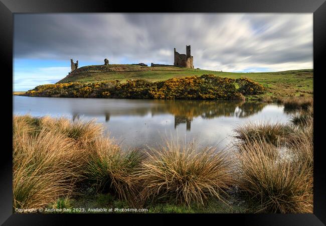 Morning at Dunstanburgh  Framed Print by Andrew Ray