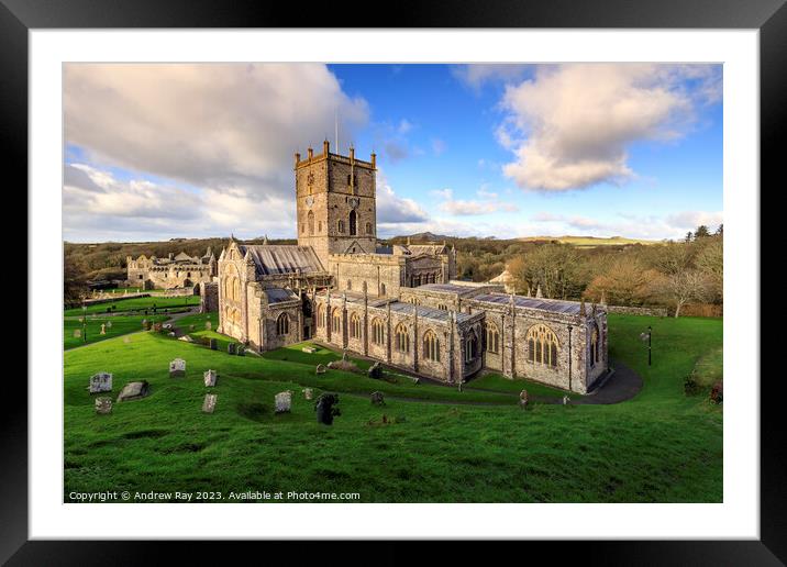 St David's Cathedral  Framed Mounted Print by Andrew Ray