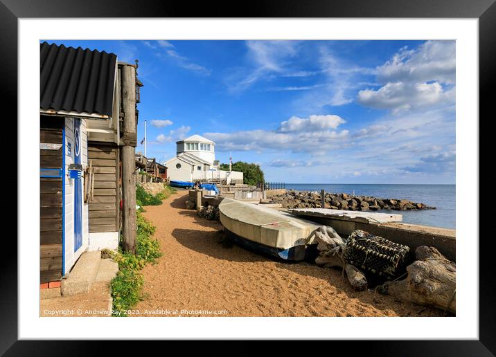 Steephill Cove Framed Mounted Print by Andrew Ray