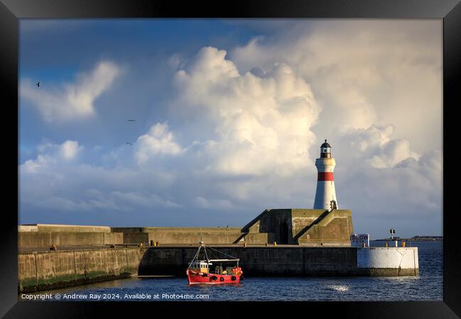 Fraserburgh Harbour Lighthouse Framed Print by Andrew Ray
