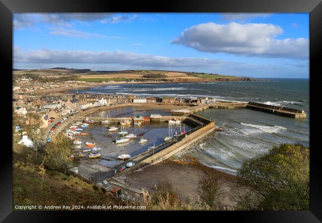 Morning at Stonehaven  Framed Print by Andrew Ray